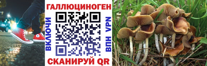Купить  Белгород  Псилоцибиновые грибы MAGIC MUSHROOMS 